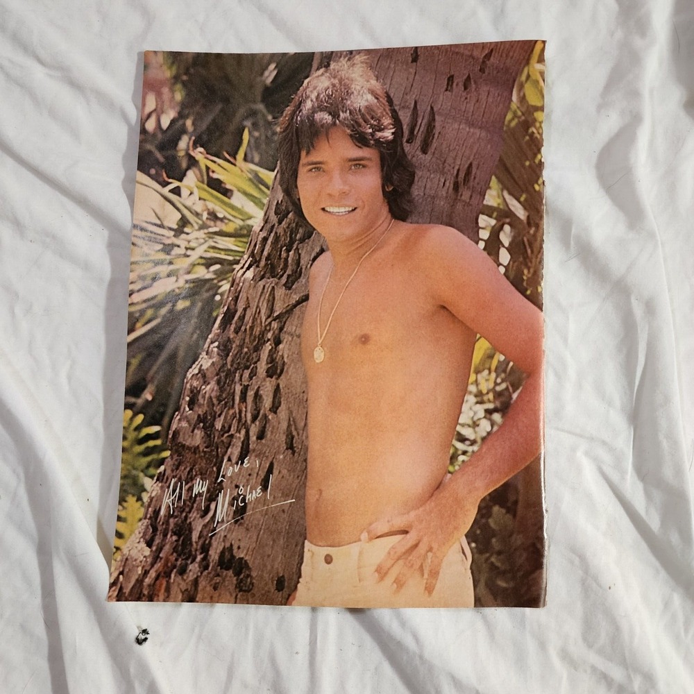 Michael Gray Shirtless Tree Necklace Vintage Poster Clipping 1970s 8x10 Original